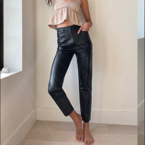 Aritzia Rebel Pants - Picture 2 of 5